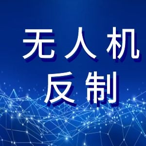 無人機掛載雙光吊艙助力巡檢新時代